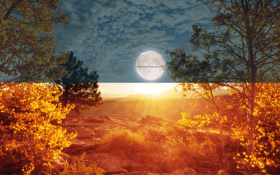 Discovering Harmony and Balance in Life with the Autumn Equinox